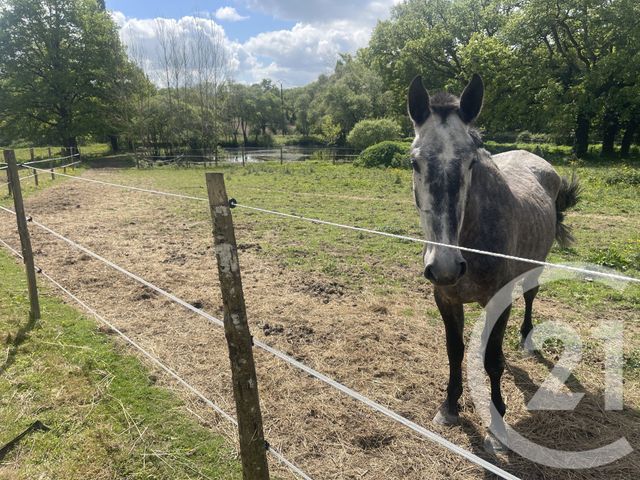 maison à vendre - 3 pièces - 95.0 m2 - LA GRIGONNAIS - 44 - PAYS-DE-LOIRE - Century 21 Espace De L'Isac