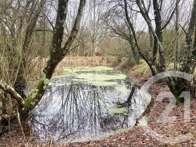 terrain à vendre - 2409.0 m2 - PLESSE - 44 - PAYS-DE-LOIRE - Century 21 Espace De L'Isac