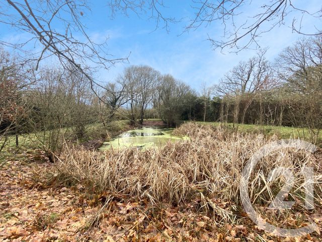 terrain - PLESSE - 44