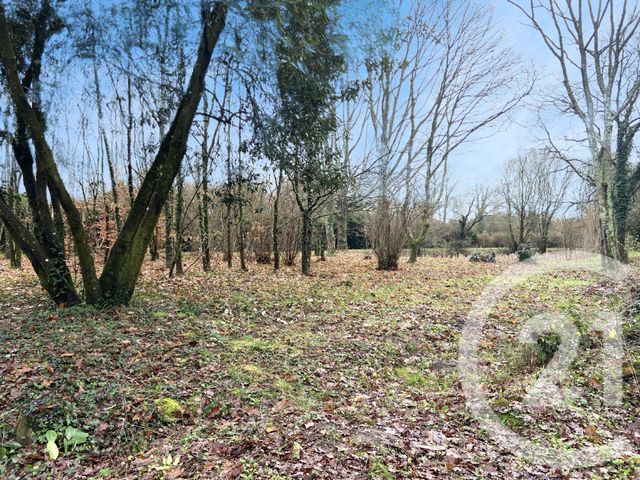 terrain à vendre - 2409.0 m2 - PLESSE - 44 - PAYS-DE-LOIRE - Century 21 Espace De L'Isac