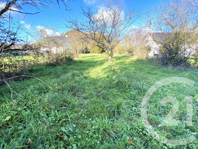 terrain - GUENROUET - 44