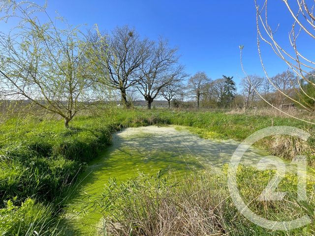 maison à vendre - 3 pièces - 75.6 m2 - LE GAVRE - 44 - PAYS-DE-LOIRE - Century 21 Espace De L'Isac