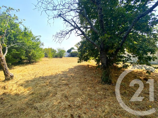 terrain - GUENROUET - 44