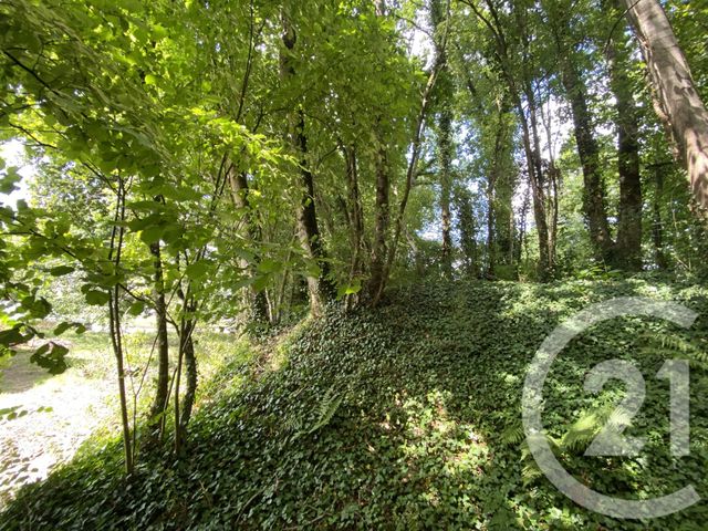 maison à louer - 3 pièces - 70.34 m2 - PLESSE - 44 - PAYS-DE-LOIRE - Century 21 Espace De L'Isac