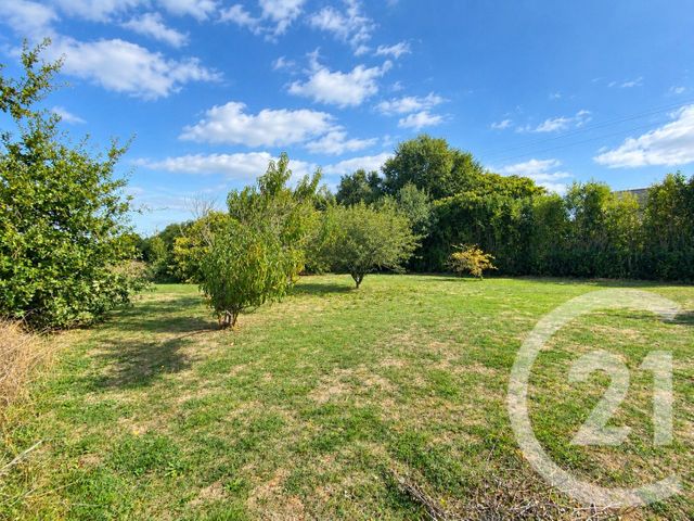 terrain - QUILLY - 44